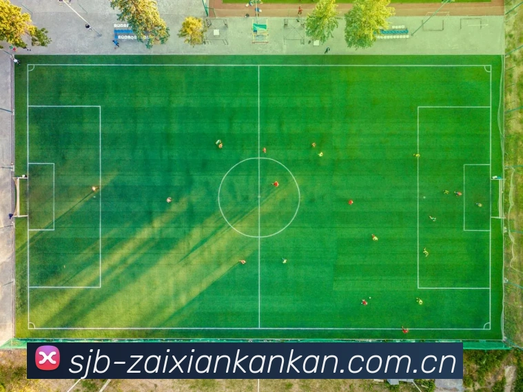 奖项图1